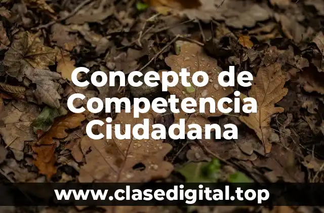 Concepto de Competencia Ciudadana