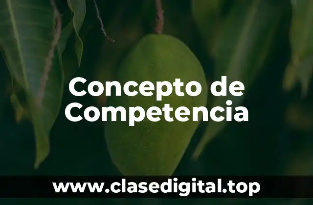 Concepto de Competencia