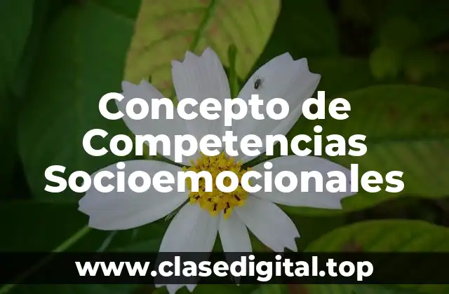 Concepto de Competencias Socioemocionales