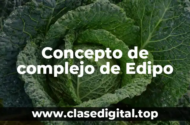 Concepto de complejo de Edipo