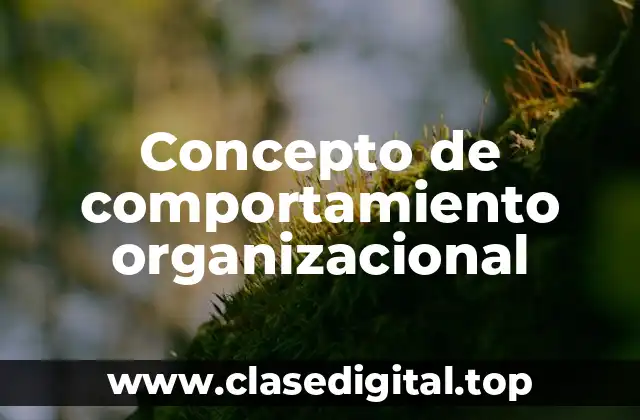 📗 Concepto de comportamiento organizacional