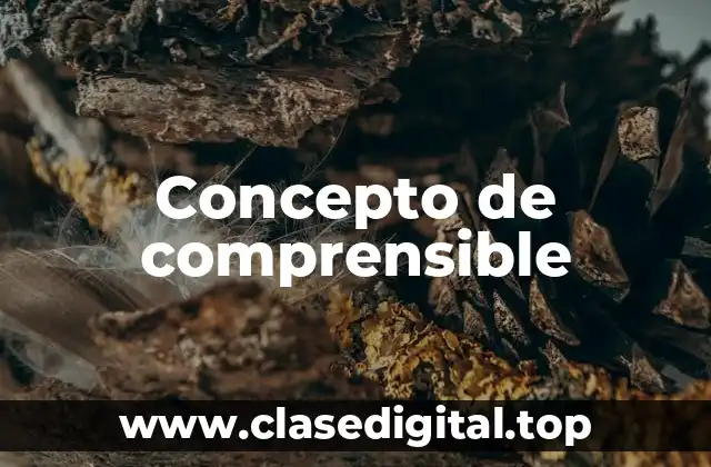 Concepto de comprensible