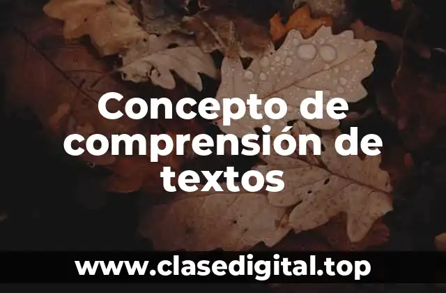 📗 Concepto de comprensión de textos
