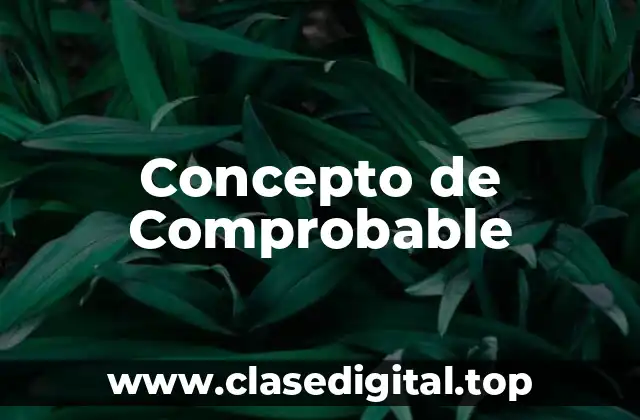 Concepto de Comprobable
