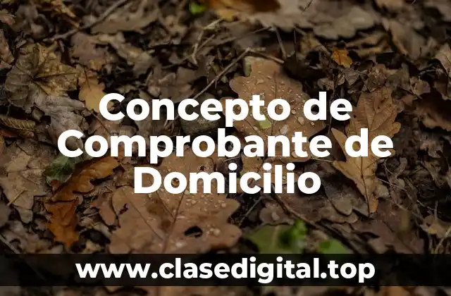 Concepto de Comprobante de Domicilio