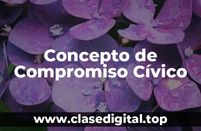 Concepto de Compromiso Cívico