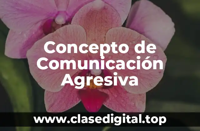 Concepto de Comunicación Agresiva