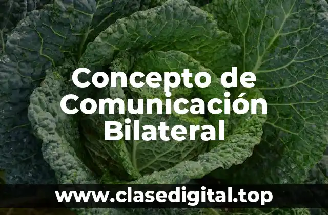 Concepto de Comunicación Bilateral
