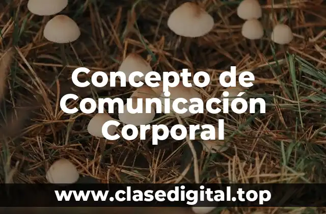 Concepto de Comunicación Corporal