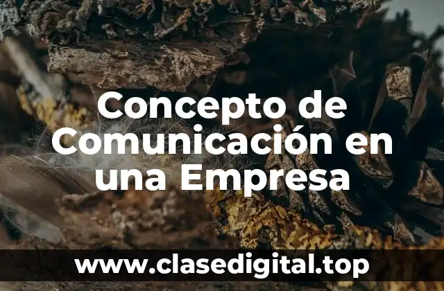 📗 Concepto de Comunicación en una Empresa