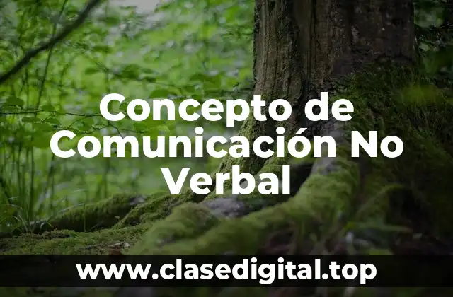 Concepto de Comunicación No Verbal