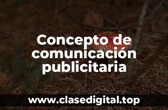 Concepto de comunicación publicitaria