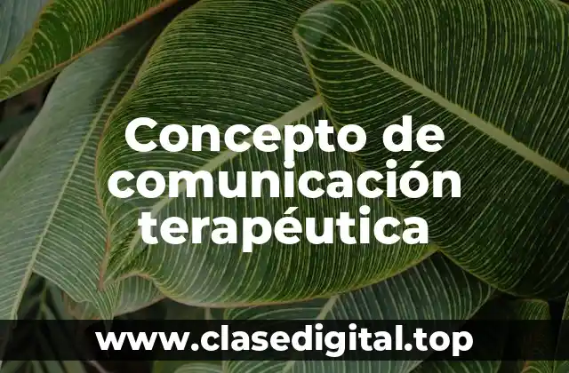 📗 Concepto de comunicación terapéutica
