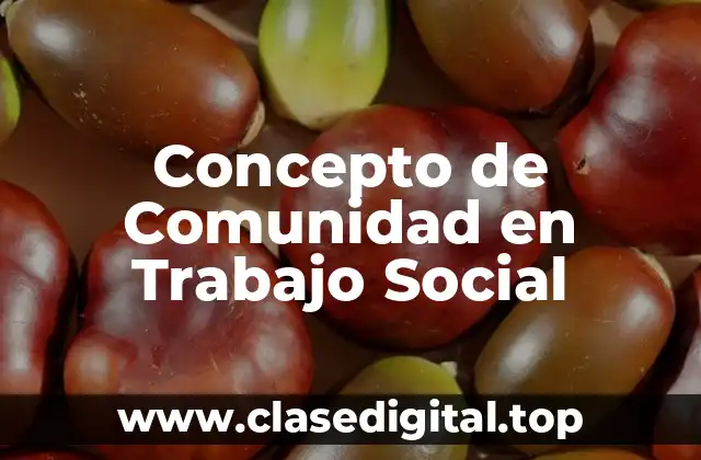 📗 Concepto de Comunidad en Trabajo Social