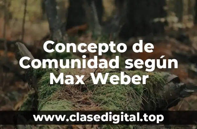 Concepto de Comunidad según Max Weber