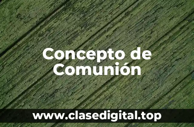 Concepto de Comunión