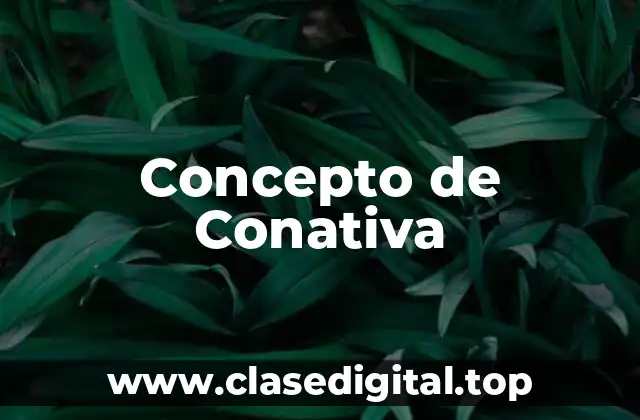 Concepto de Conativa