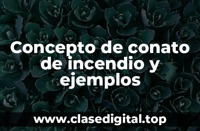 Concepto de conato de incendio y ejemplos