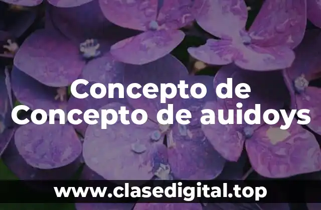 ✔️ Concepto de auidoys