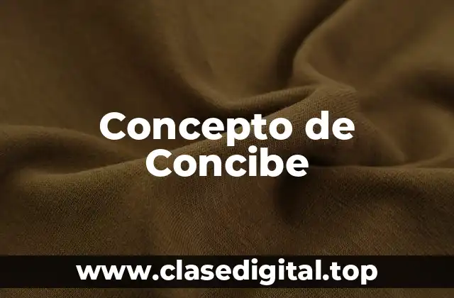 Concepto de Concibe