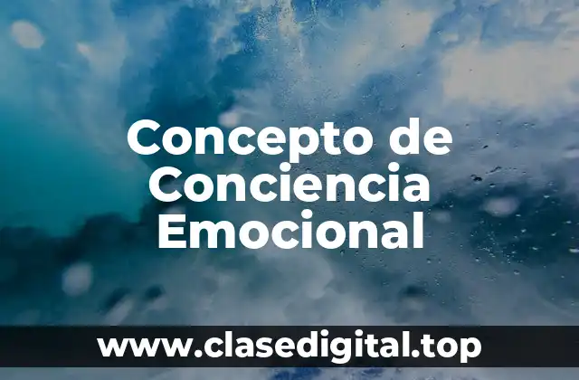 Concepto de Conciencia Emocional