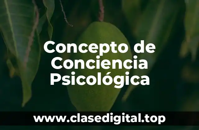 Concepto de Conciencia Psicológica