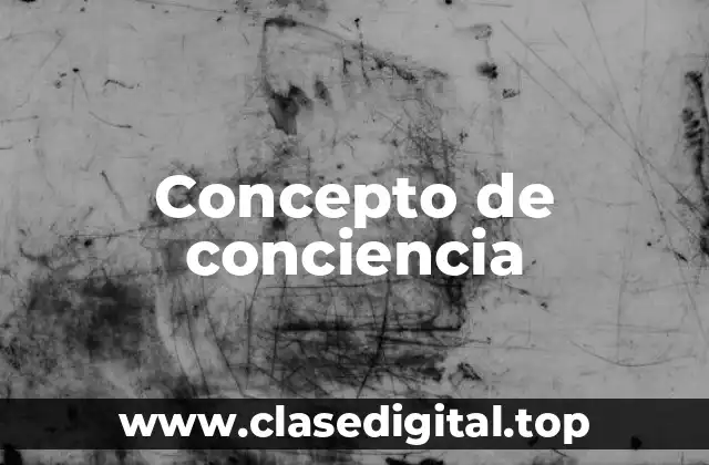 Concepto de conciencia
