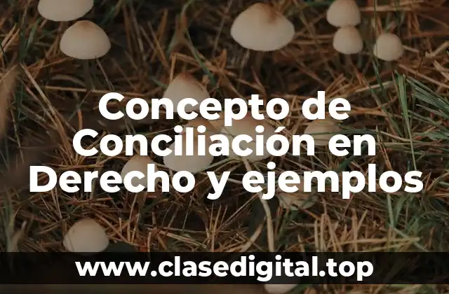 Concepto de Conciliación en Derecho y ejemplos