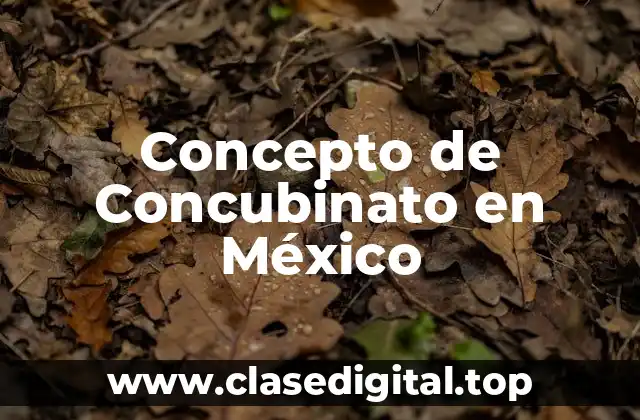 📗 Concepto de Concubinato