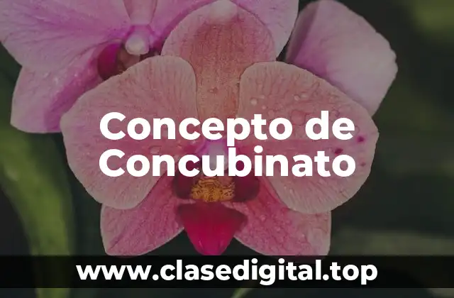 Concepto de Concubinato