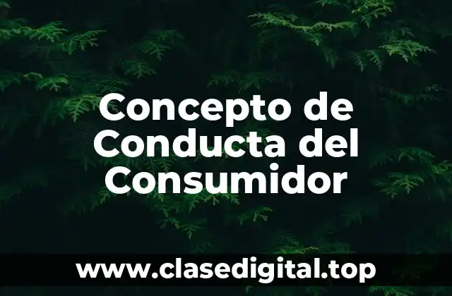 ✴️ Concepto de Conducta del Consumidor