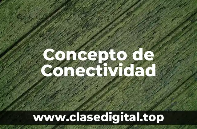 Concepto de Conectividad
