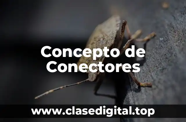 Concepto de Conectores
