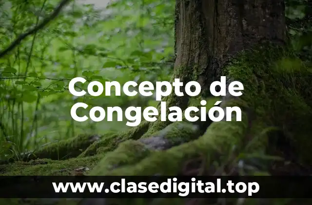 Concepto de Congelación