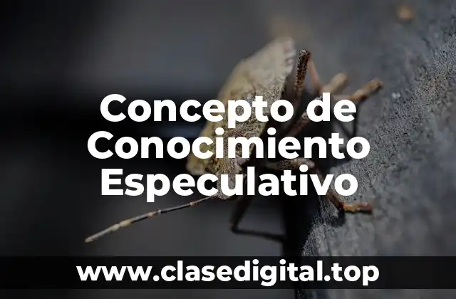 Concepto de Conocimiento Especulativo