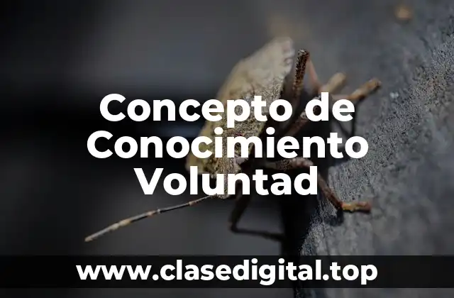 Concepto de Conocimiento Voluntad