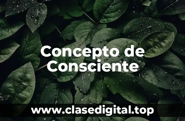 Concepto de Consciente