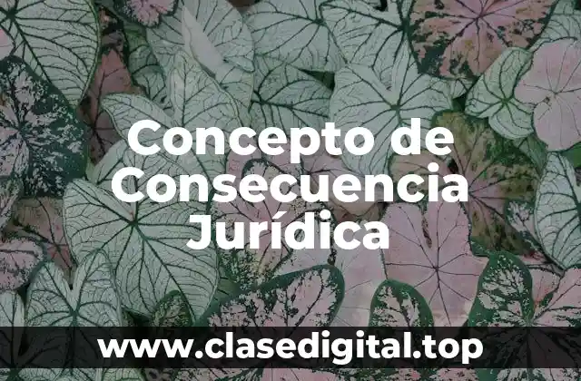 Concepto de Consecuencia Jurídica
