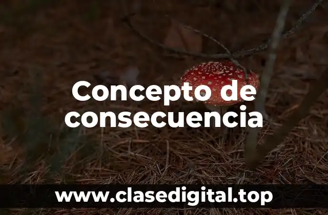 Concepto de consecuencia