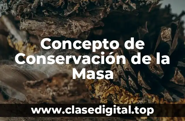 Concepto de Conservación de la Masa