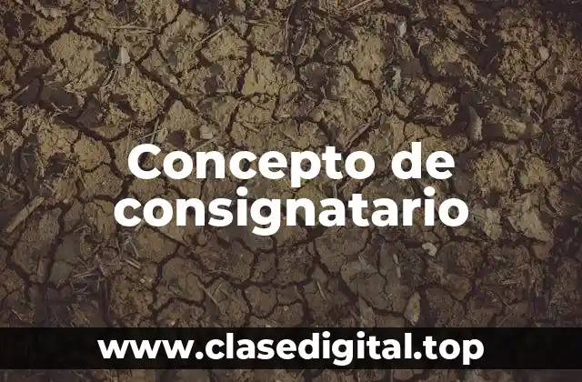 Concepto de consignatario