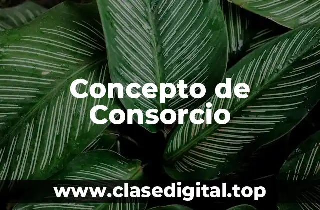 Concepto de Consorcio