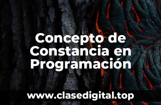 Concepto de Constancia en Programación