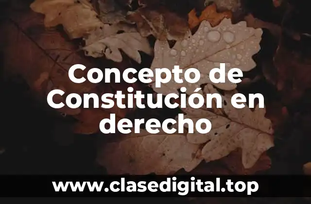 Concepto de Constitución en derecho