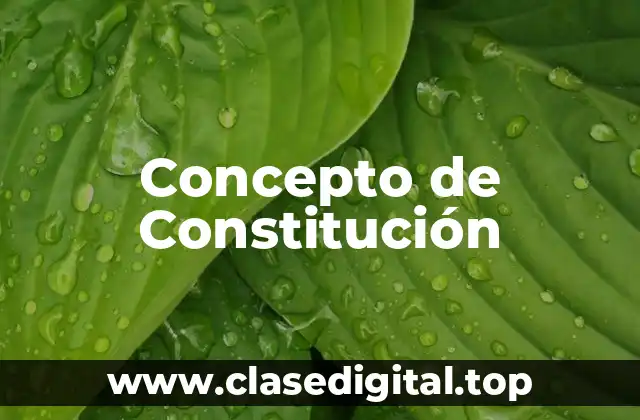 Concepto de Constitución