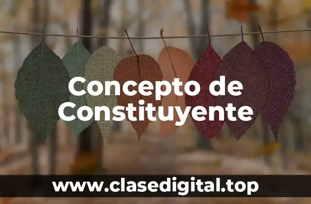 Concepto de Constituyente