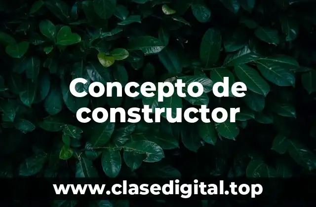 Concepto de constructor