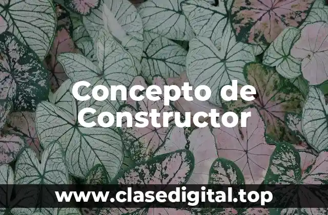 Concepto de Constructor