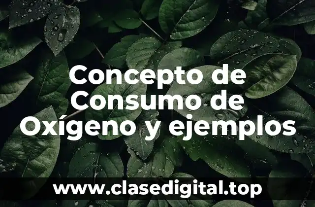 Concepto de Consumo de Oxígeno y ejemplos