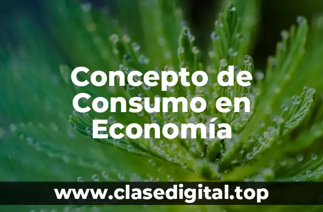 Concepto de Consumo en Economía
